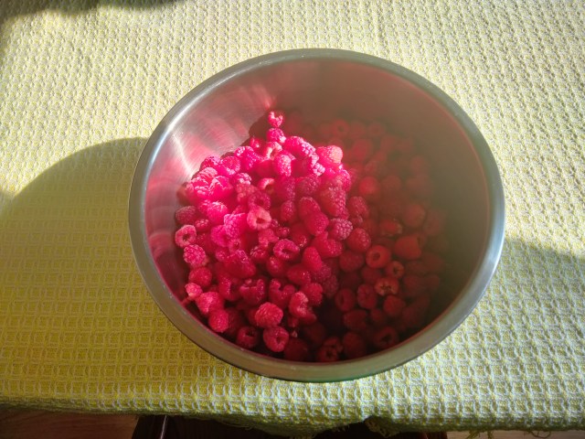 Crushed Raspberry Color Raspberries and Being a Fully Designed Human – Out of Babel Books